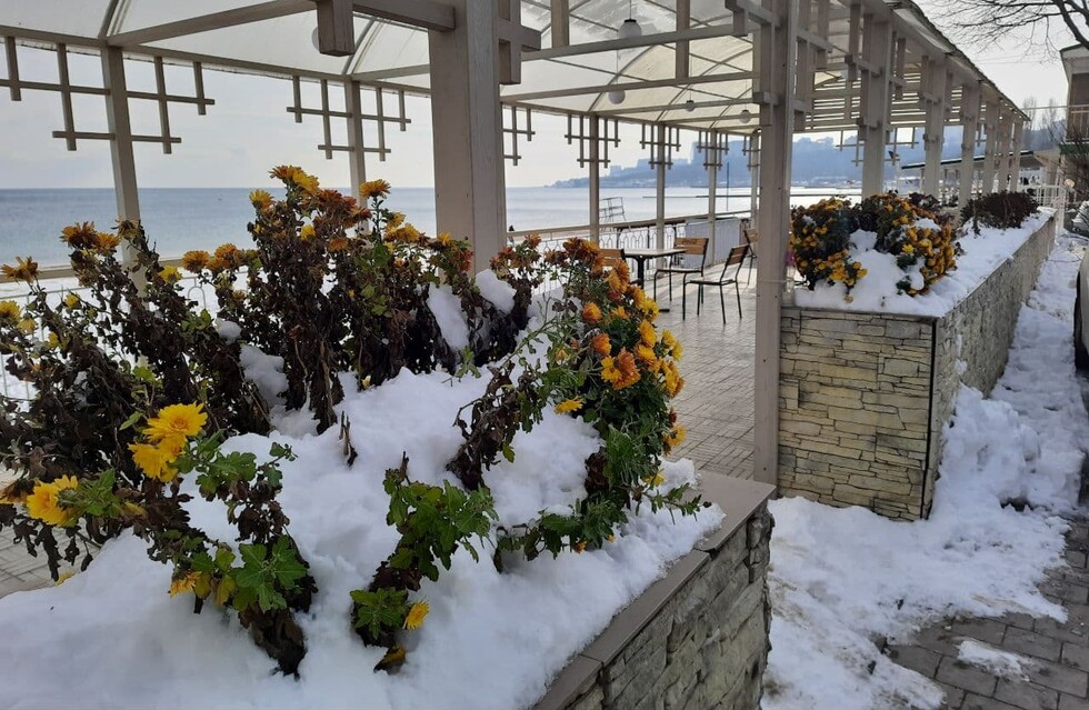 Заснеженные пляжи, цветы и лютый мороз: как выглядит Одесса в январе 2021 года. Фото автора