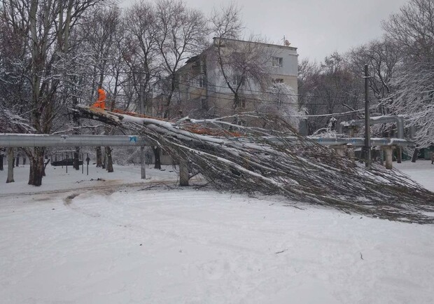 В Одессе упало более полусотни деревьев. Фото: горсовет
