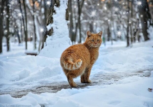 К чему готовиться: синоптики рассказали о погоде в Одессе 29 января. Фото: instagram.com/elenagorianskaya