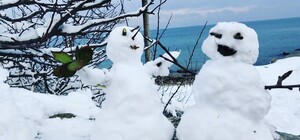 Конкурс снежных скульптур: смотри, как развлекались одесситы 