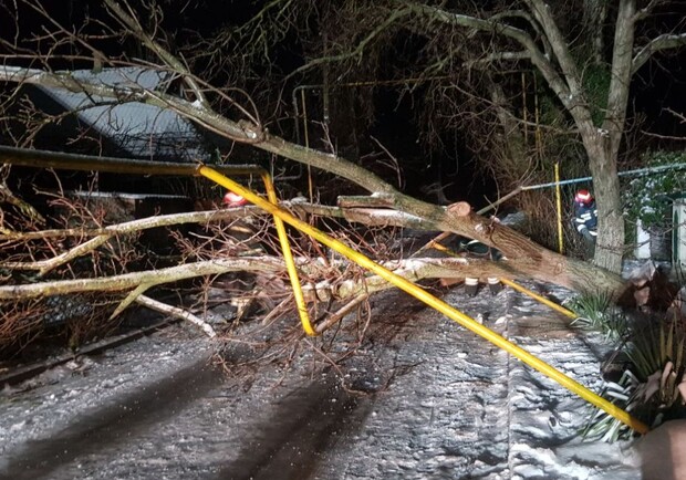 Овидиополь на улице Дукова в результате непогоды дерево упало на газовую трубу. Фото: ГСЧС