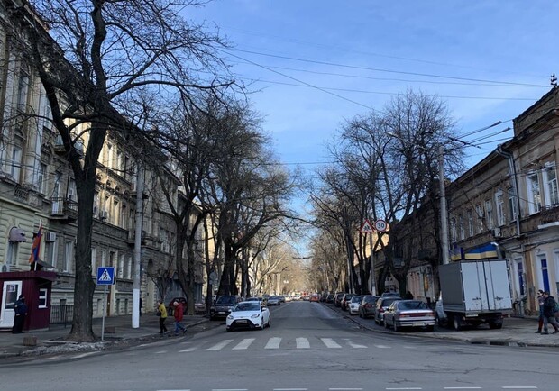 Познавательная прогулка по улице Льва Толстого. Фото автора