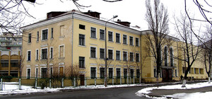 Снимал видео: на левом берегу ребенок выпрыгнул из окна лицея