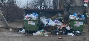 Покупайте контейнер: жителям Фонтанки поменяли условия вывоза мусора 