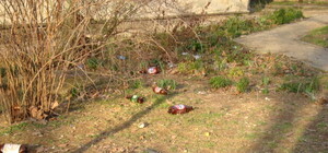 В Севастополе появится аллея статуй из пластиковых бутылок