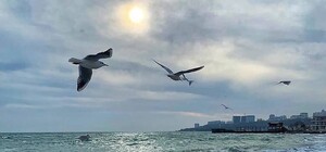 Морозы возвращаются: какую погоду ждать одесситам на будущей неделе