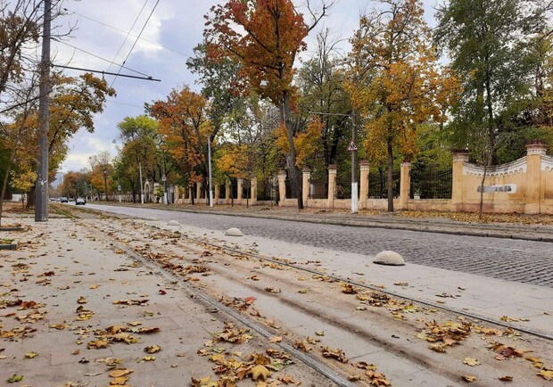 Будет четыре полосы: в Одессе хотят реконструировать Французский бульвар. Фото Марины Повертайло