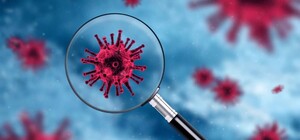 Ученые подтвердили: 