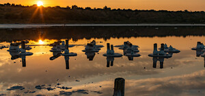 Вспомнили про Куяльник: под Одессой создадут уникальный Нацпарк