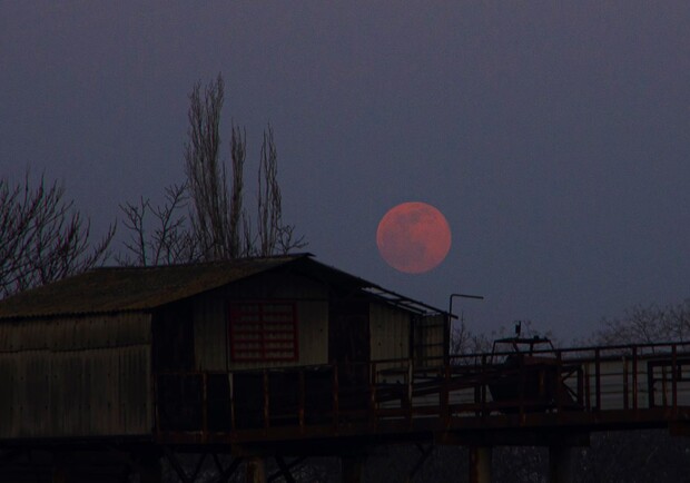 Ночь перед штормом: в небе над Одессой взошла необычная Луна. Фото: Лолита Клочкова