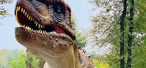 Последние штрихи: стала известна дата открытия и цены 