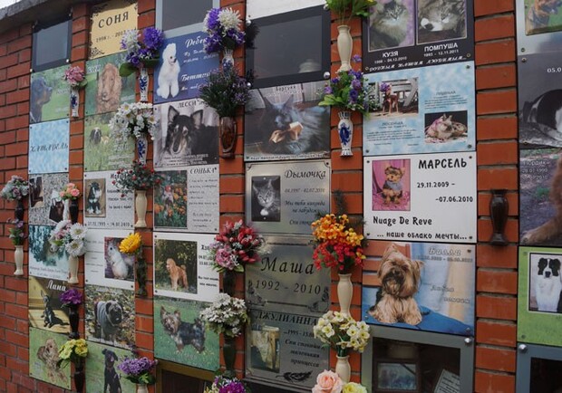 Не только для людей: в Одессе построят крематорий для животных. Фото: pinterest