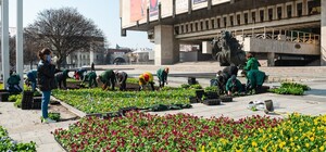 У ХНАТОБа, Зеркальной струи, в саду Шевченко: в Харькове начали высадку цветов