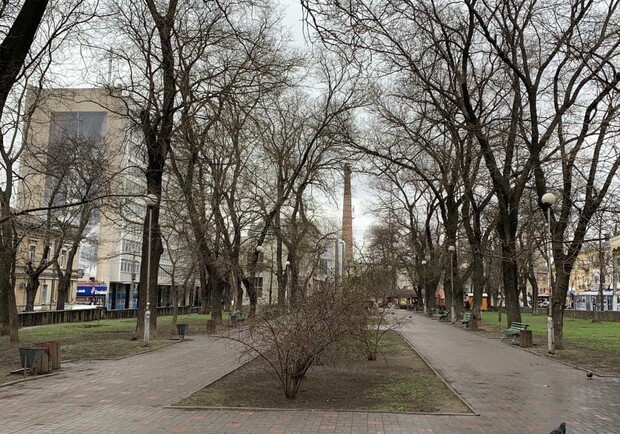 Интересная прогулка в Старопортофранковский сквер. Фото автора