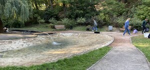 Помахаешь метлой: киевлян приглашают убрать ботсад имени Фомина