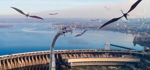 За нарушение карантина: в Запорожье оштрафовали владельца 