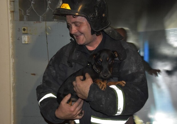 Подгоревшие блинчики и спасение собаки: в Одессе тушили два пожара. Фото: Служба чрезвычайных ситуаций