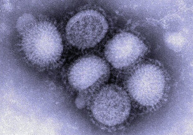 В Одесской области подтвердили новый вид гриппа