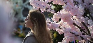 Тепло, но пасмурно: какой будет погода в Харькове на майские праздники