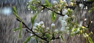 На пасхальные праздники в Украине будут грозовые тучи, дождь, ветер и немного солнца