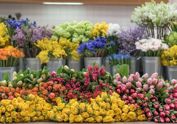 Цветочный рыночек у Привоза ликвидируют. Фото: nat-geo.ru