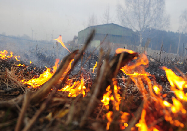 В Одесской области объявили чрезвычайных уровень пожарной опасности - фото