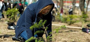 Вместо сломанных: запорожцев приглашают на высадку деревьев в сквере Яланского