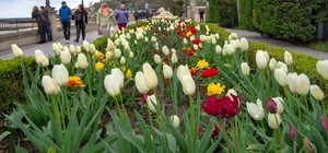 Любуемся: как в Одессе расцвела набережная 