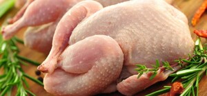 Напичкана антибиотиками: в Харькове изымают из продажи опасную курятину