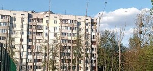 Оставили без веток: в Голосеевском районе коммунальщики обрезали здоровые деревья