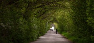 Полюбуйтесь: под Запорожьем появился 