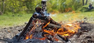 Отменяй пикник: леса Полтавщины 