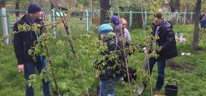Как на даче: на Русановке высадили аллею фруктовых деревьев