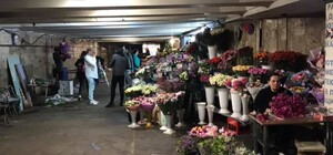 Взяли реванш: в подземный переход на Льва Толстого вернулись продавцы