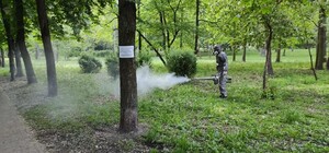 Паразит не пройдет: киевские парки обработали против клещей