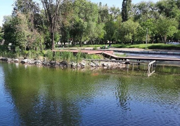 Порадуйся: на территории Дюковского парка в Одессе почистили пруд . Фото: телеграм-канал "Одесса Сейчас"