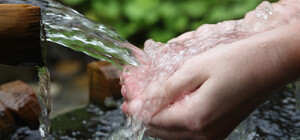 Не пей оттуда: в Харькове проверили качество воды в родниках