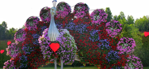 С дикими животными: на Спивочем поле откроется новая выставка цветов