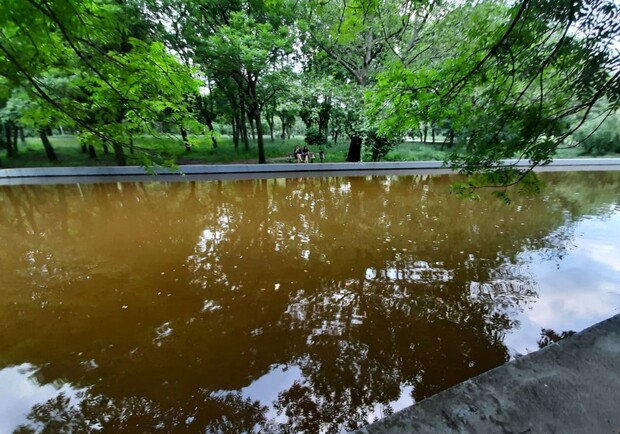 Стыдно: пруд в одесском парке Победы превратился в грязное болото. Фото Марины Повертайло
