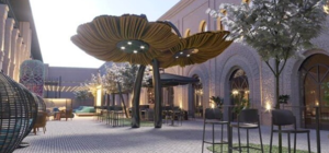 Заценишь подсолнухи: летнюю террасу Creative States откроют для всех желающих