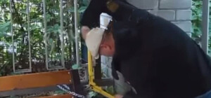 Мебельные воры: из кофейни на Шулявке украли скамейки