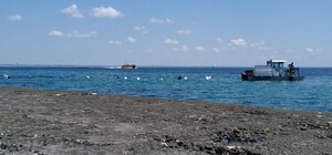 Решили вопрос с канализацией: на одесском пляже сливают нечистоты в море