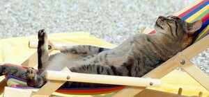 Толком не позагорать: погода в Запорожье и на курортах Азовского моря