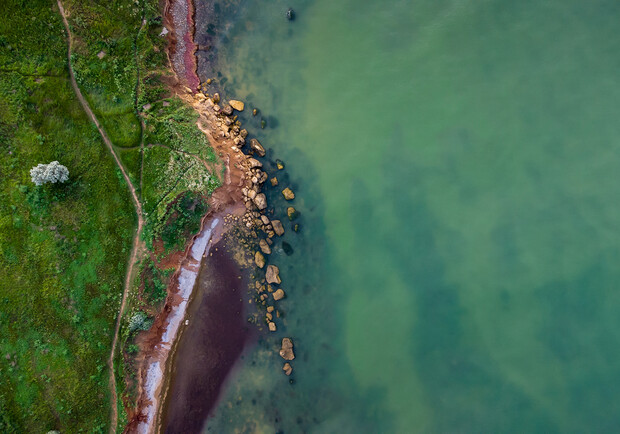 Зеленые пейзажи: полюбуйся черноморским побережьем с высоты. Фото: Виталий Милевич