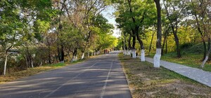 Попытка успокоить самокатчиков: на Трассе здоровья в Одессе появятся шумовые полосы