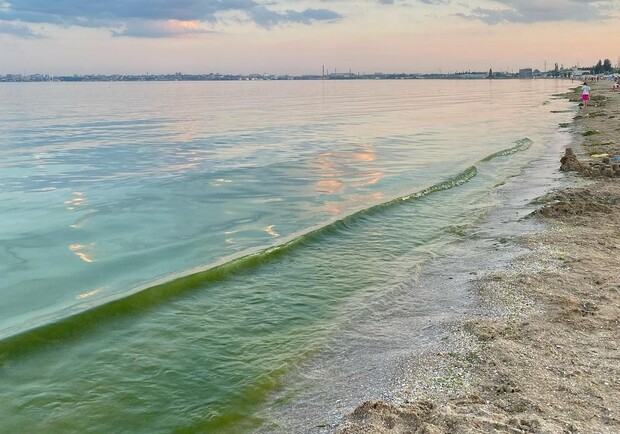 Болото из водорослей: узнай, можно ли сейчас купаться на одесских пляжах. Фото: instagram.com/kristina_nkd