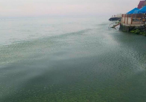 В Затоке утонул турист: его 13-летнего сына ищут водолазы. Фото: Служба чрезвычайных ситуаций