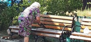 В Киеве накажут женщину за порчу скамейки в борьбе с хулиганами, с которыми не смогла справиться полиция