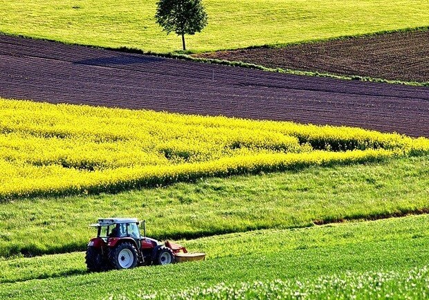 В Одесской области очень дорогая сельскохозяйственная земля 