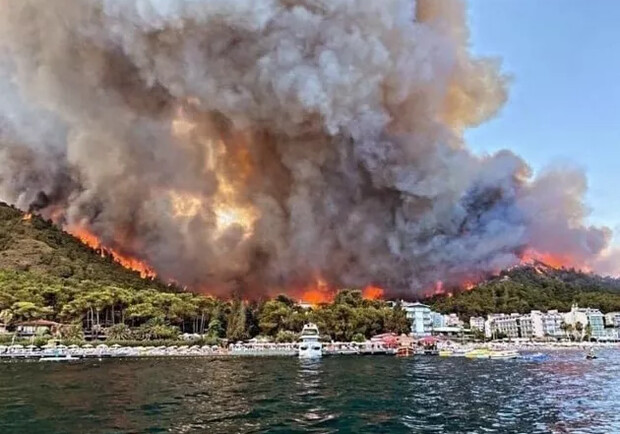 Пожары в Турции достигли критических масштабов. Фото: Twitter Shah@alemekael